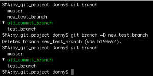 Deleting a branch in Git