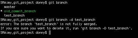 Deleting a branch in Git using the -d option