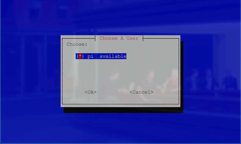 Choosing Pi user