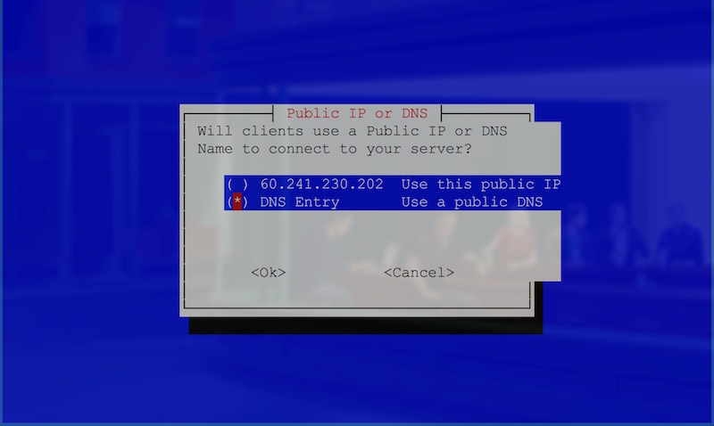 Public IP or DNS