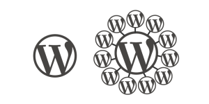 WordPress Multisite Demystified