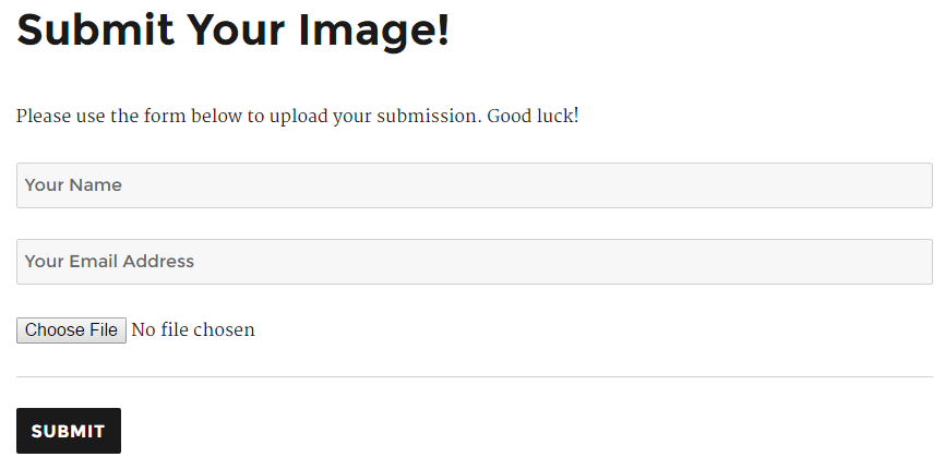 Frontend submission form (Logged In)