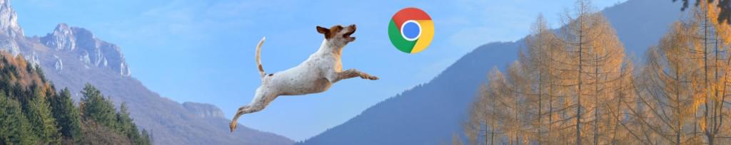 browser trends rise of underdog
