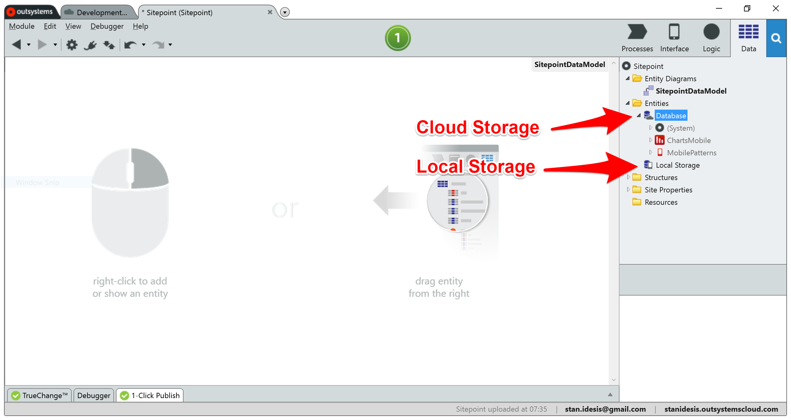 Cloud and Local Storage