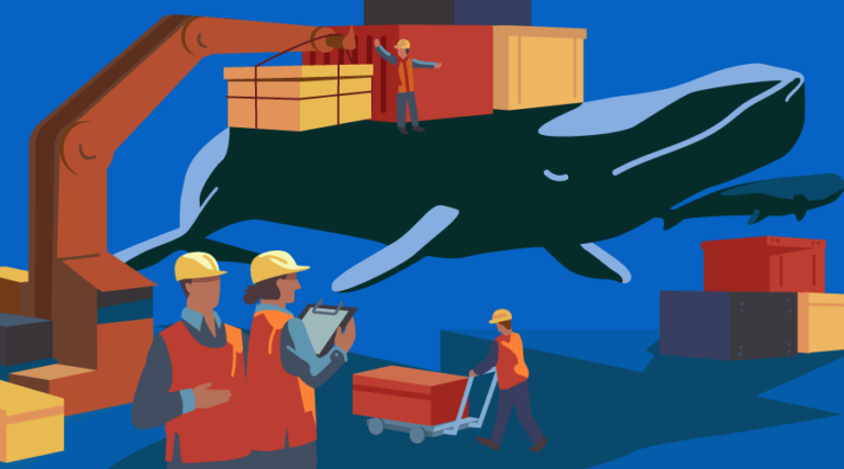 A team of workers with a crane loading containers onto the back of a whale