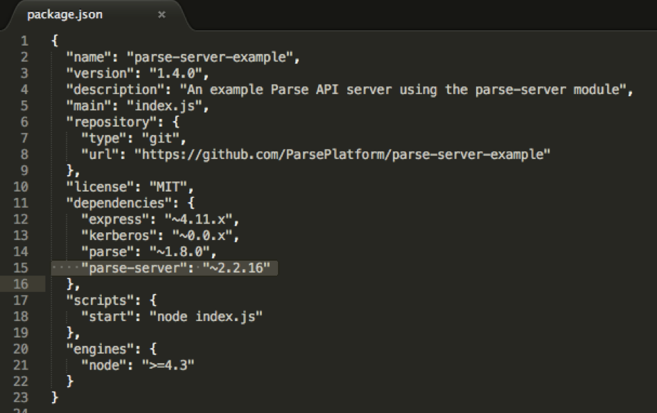 Package.json with Parse Server Installation Info