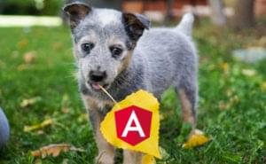 Angular Introduction: What It Is, and Why You Should Use It
