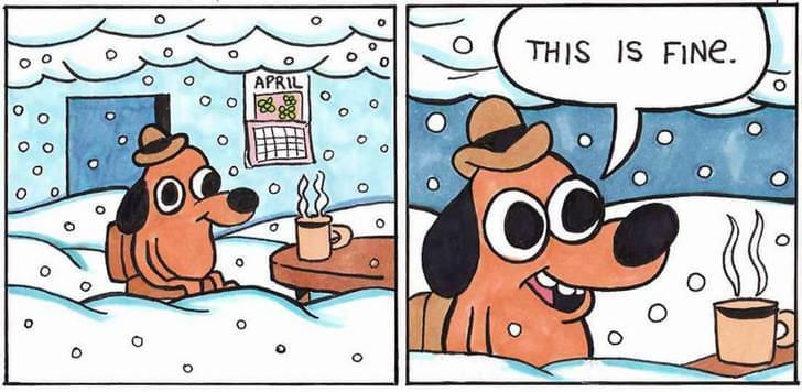 The is fine meme, but with snow