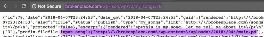 Broken Place JSON: no indication of WordPress code
