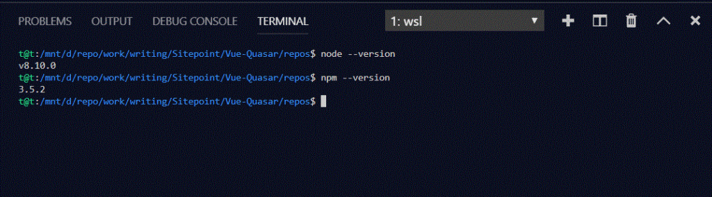 Terminal readout of installed Node and npm versions