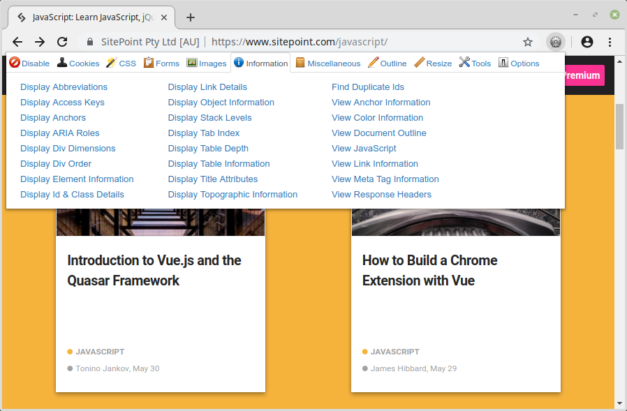 Web Developer Chrome extension