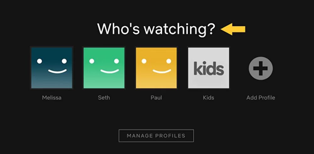 The Netflix “who’s watching?” intro screen