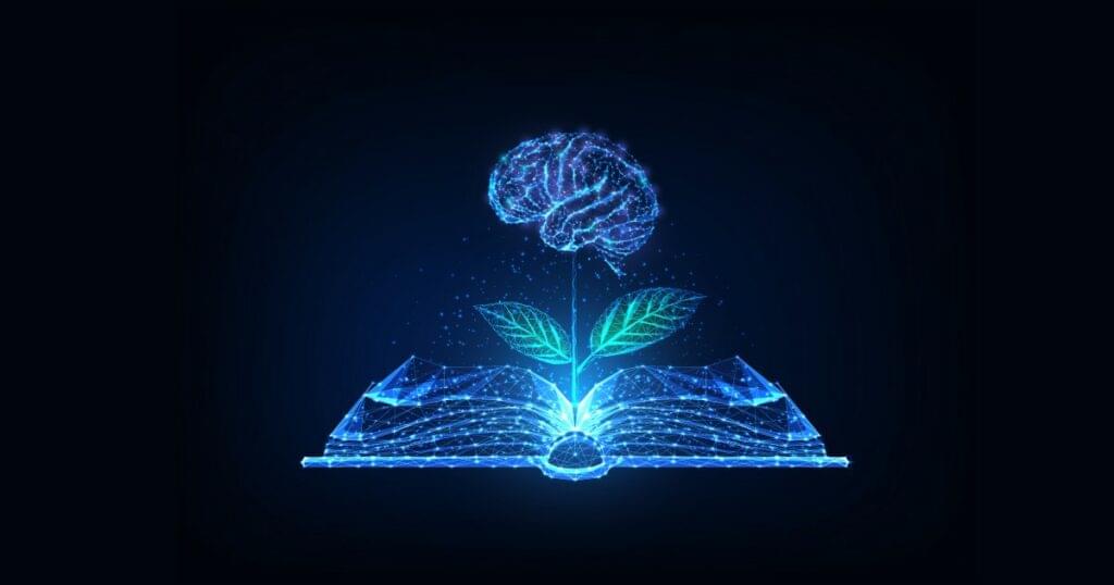 A Beginner’s Guide to Roam Research