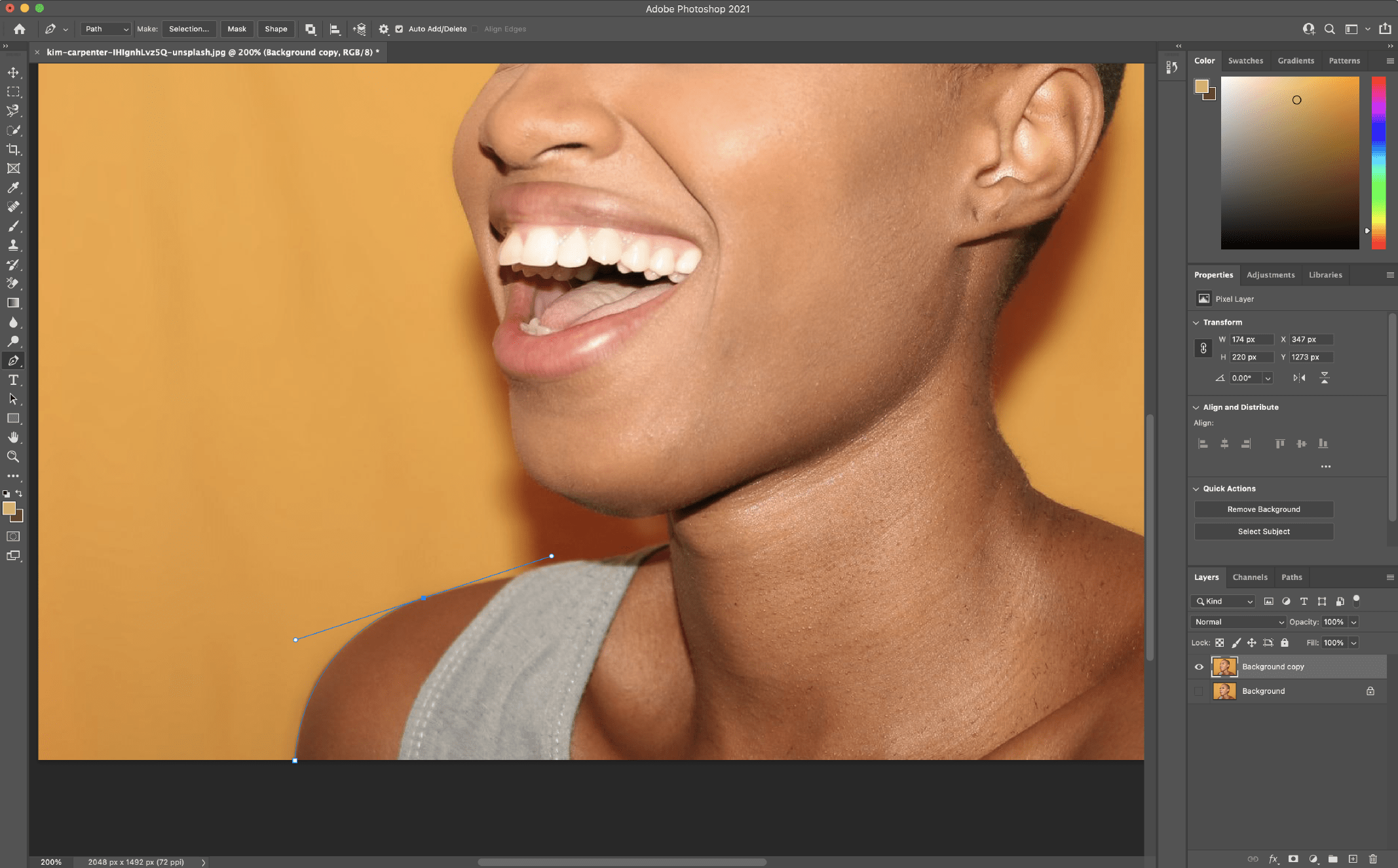 Remove Background in Photoshop using the Pen Tool 1