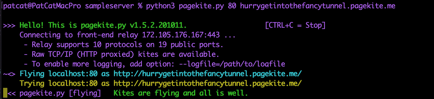 PageKite running on port 80
