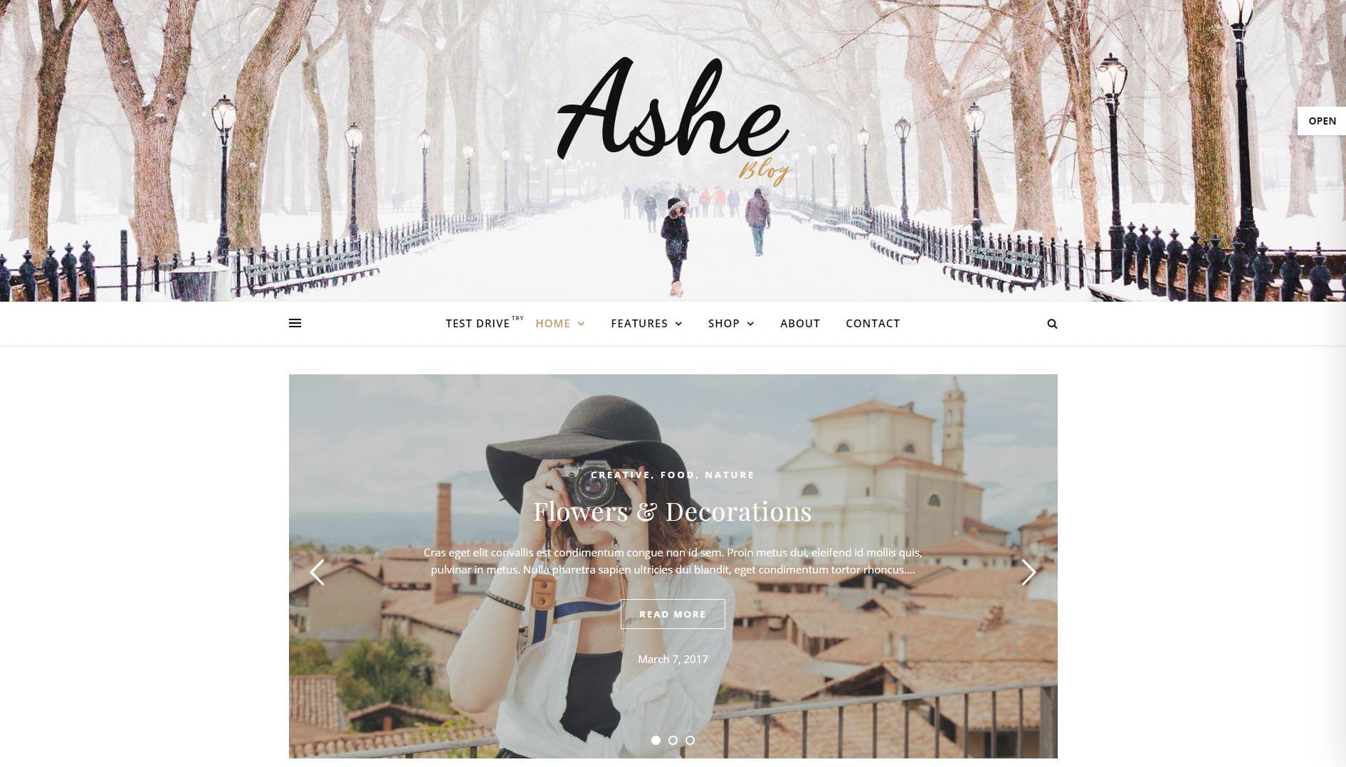 Ashe WordPress Theme