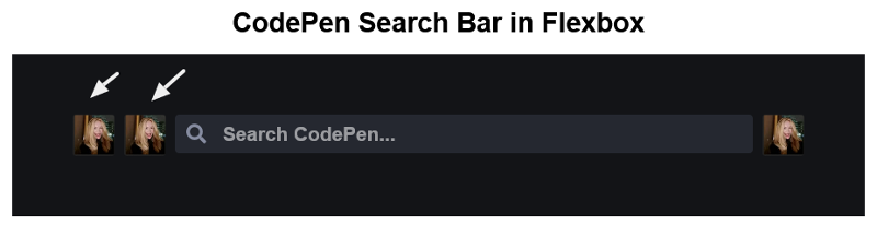 CodePen search bar in Flexbox with more elements added to the left of the search bar