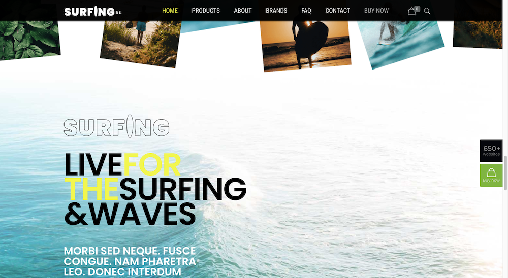Live for Surfing Theme
