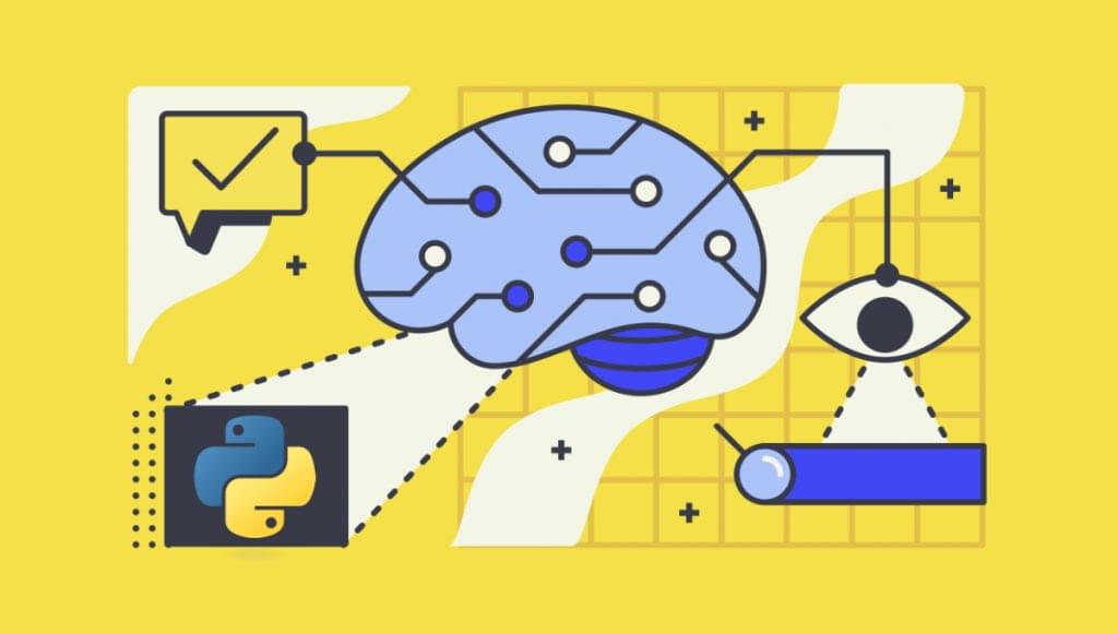 Why Learn Python?