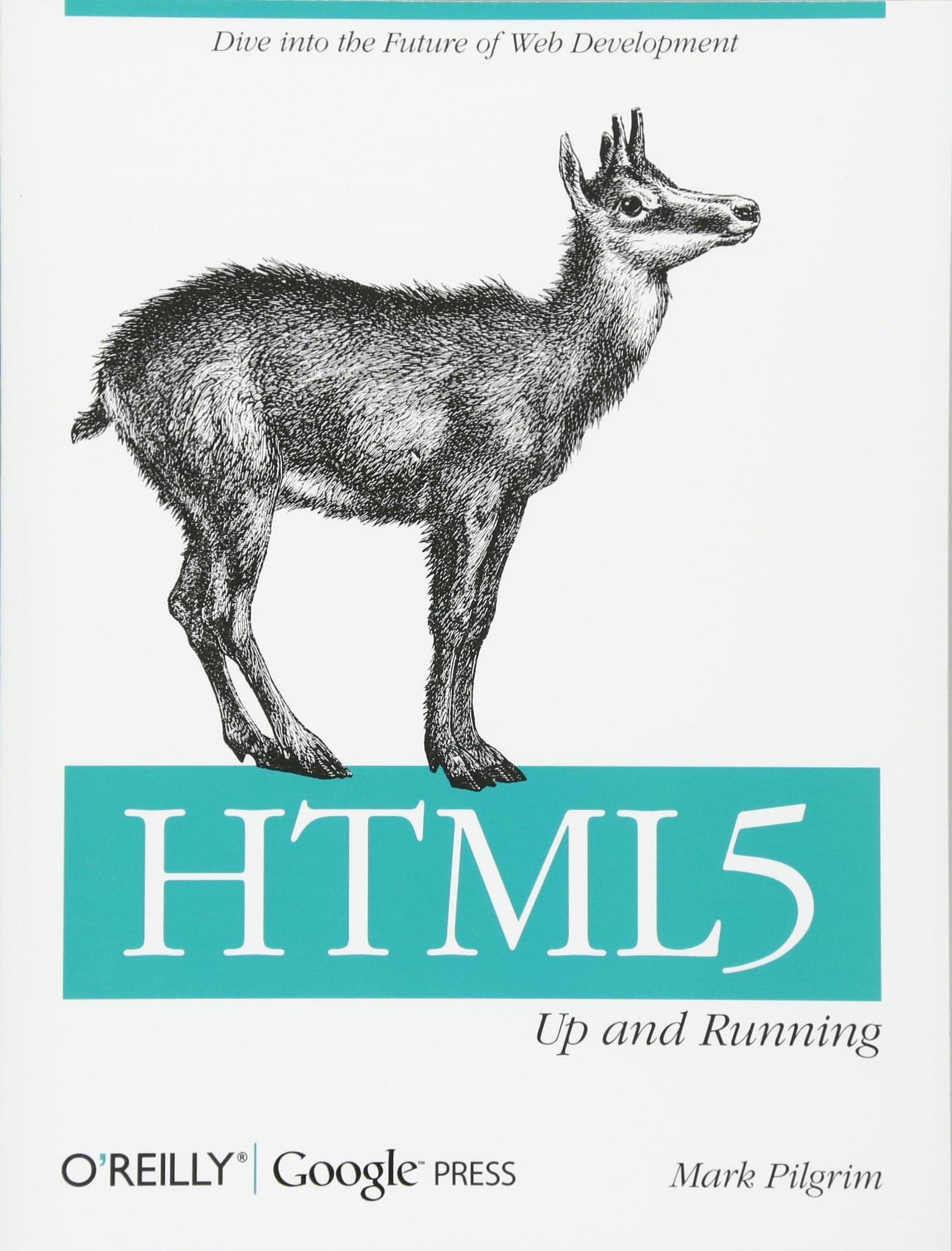 HTML5 启动并运行 - 封面图片