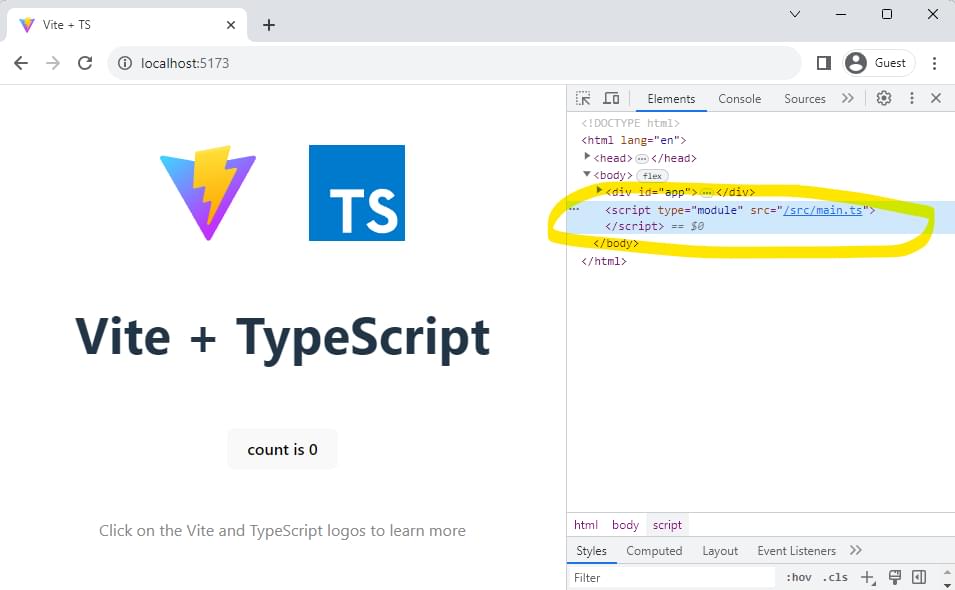 A Vite application loaded with script type module