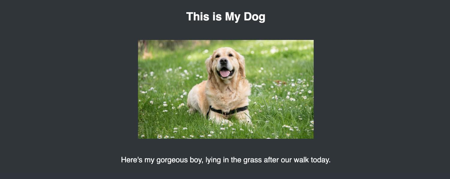A simple web page with a heading, picture of a dog, and a paragraph