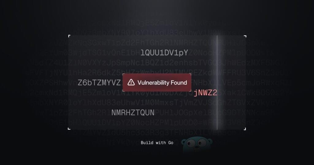 Building a Network Vulnerability Scanner with Go