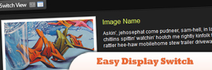 Easy-Display-Switch-with-CSS-and-jQuery-.jpg