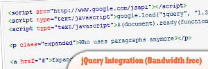 Google-AJAX-API-and-jQuery-Integration-Bandwidth-free-.jpg