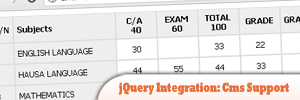 jQuery-Integration-Cms-Support-.jpg