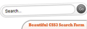Beautiful-CSS3-Search-Form.jpg