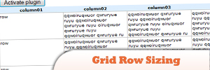 jQuery-Grid-Row-Sizing.jpg