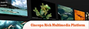 Cincopa-Rich-Multimedia-Platform2.jpg