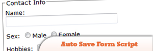 Auto-Save-Form-script1.jpg
