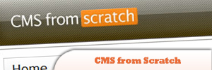 CMS-from-Scratch.jpg
