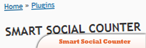 Smart-Social-Counter.jpg