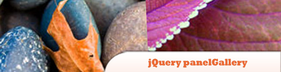 jQuery-panelGallery.jpg