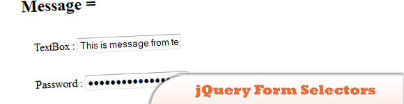 jQuery Form Selectors Example