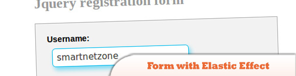 Registration Form with Elastic Effect