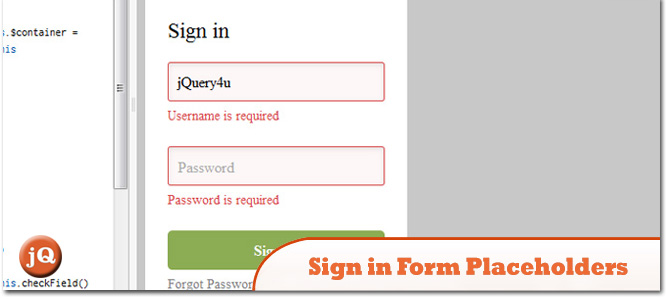 Sign-in-Form-Placeholders.jpg