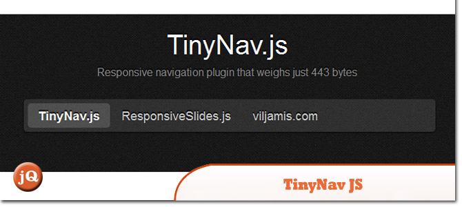 TinyNav-JS.jpg