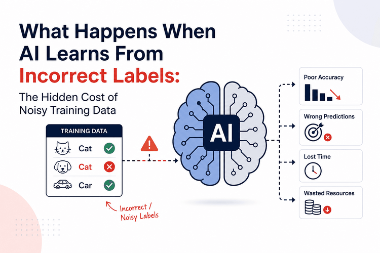 What Happens When AI Learns From Incorrect Labels: The Hidden Cost of Noisy Training Data